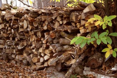 Task of Stocking the Wood Pile Bonded Family Image